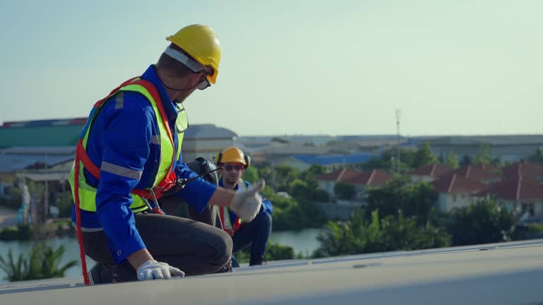 Best Roof Moss and Algae Removal  in El Valle De Arroyo Seco, NM